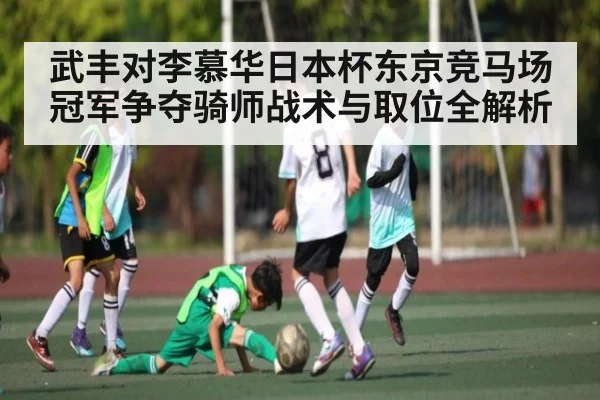 武丰对李慕华日本杯东京竞马场冠军争夺骑师战术与取位全解析